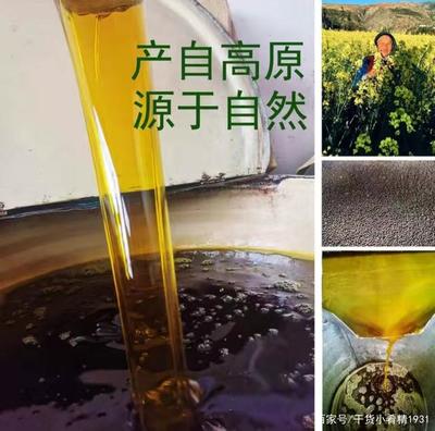 金色門源 北方最大的油菜花海與中國菜籽油之鄉